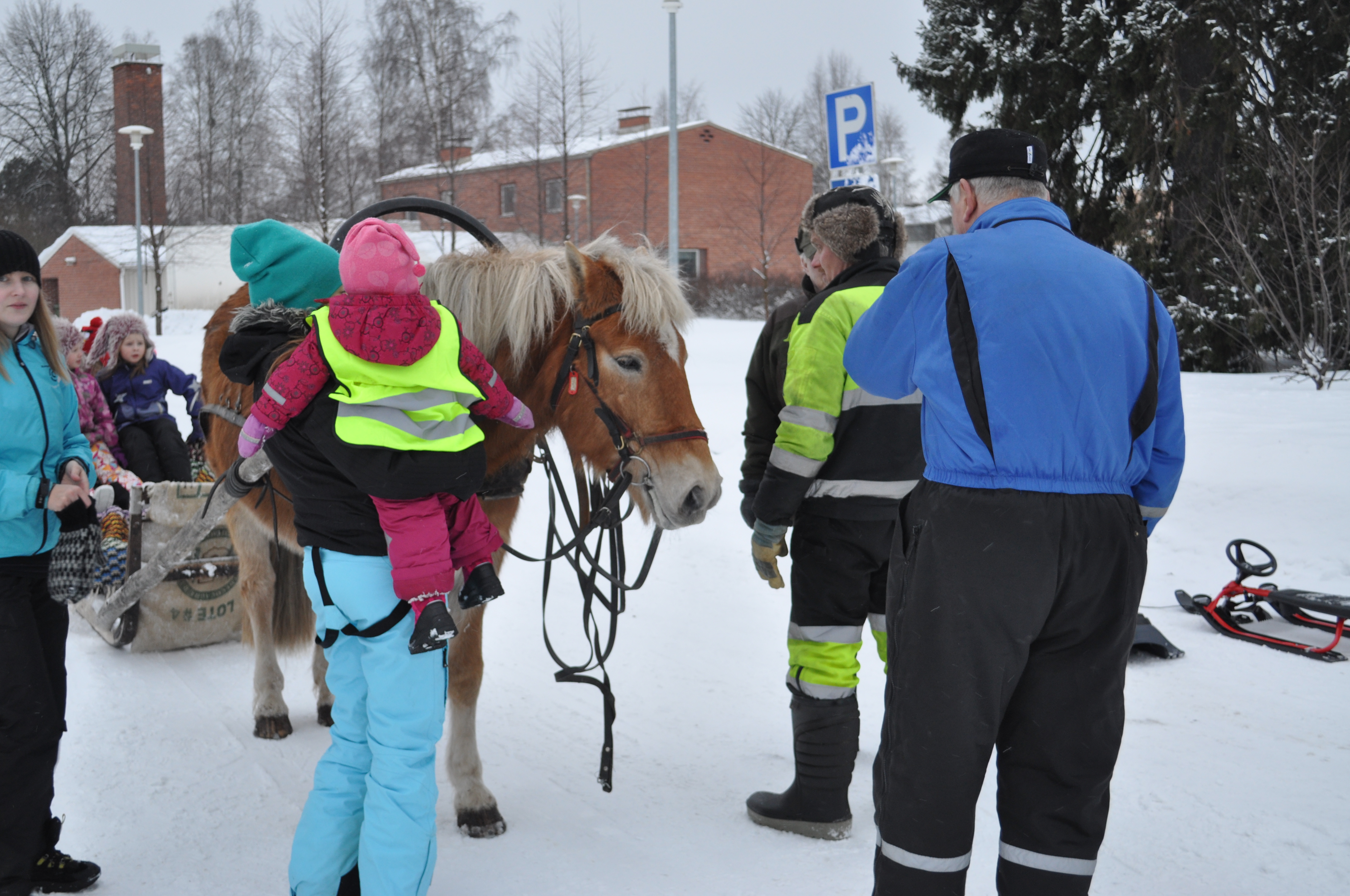 Kirjakirppis ja Talvirieha