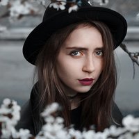Isoshaku 2019 Isoshaku 2019