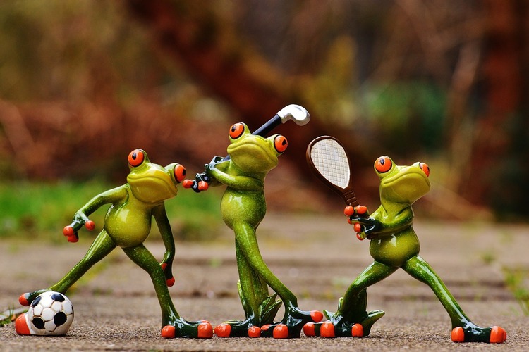 Sammakot pelailee jalkapalloa, golfia ja tennistä.