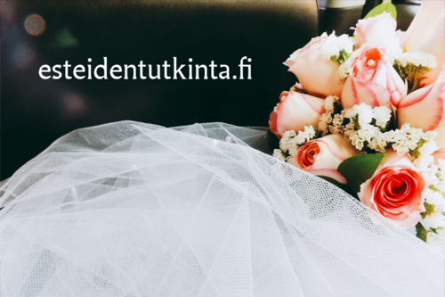 https://esteidentutkinta.fi/