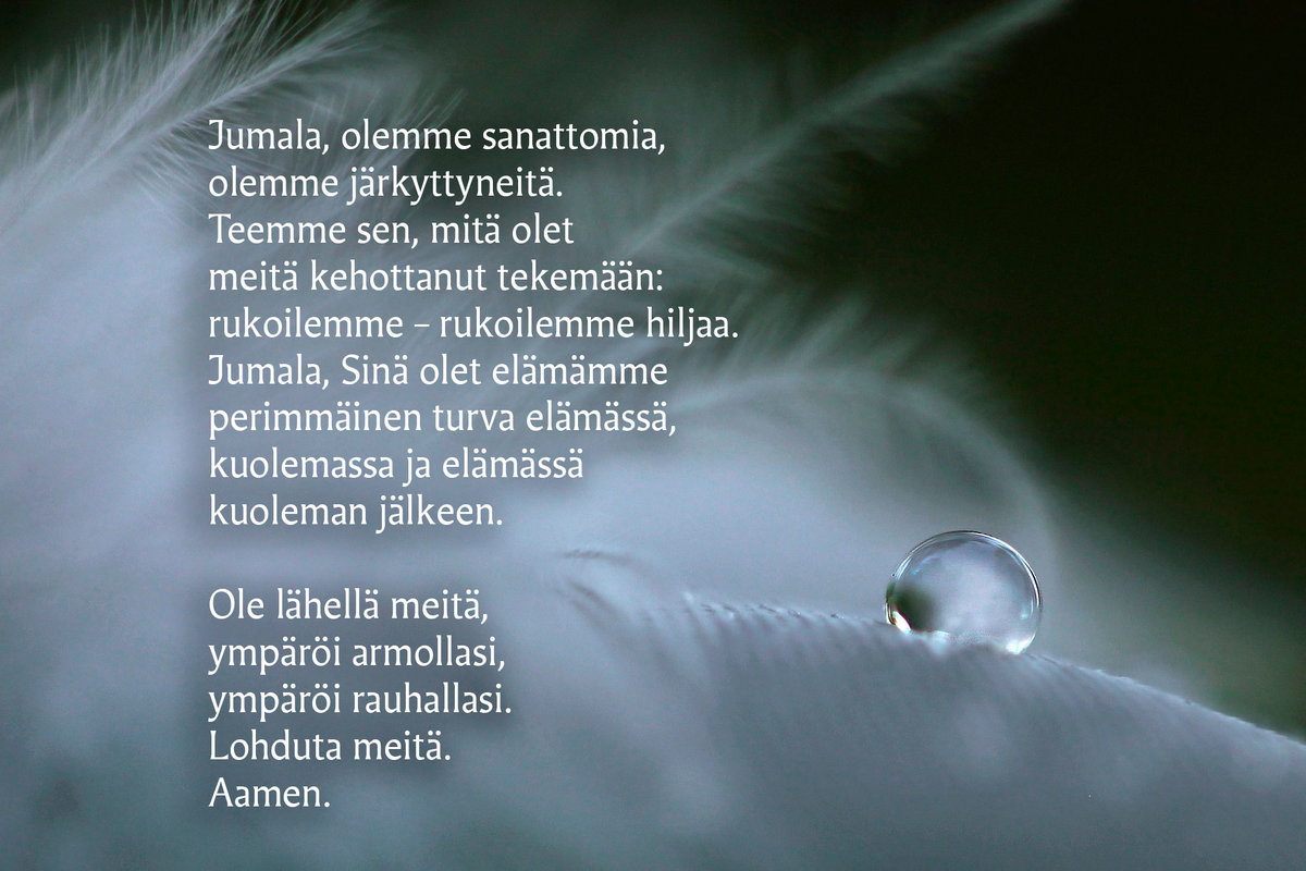 suru,-lohtu,-enkeli.jpg